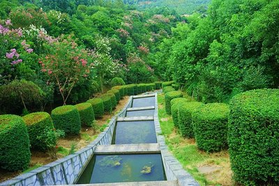 邵陽(yáng)市花--紫薇扮靚
