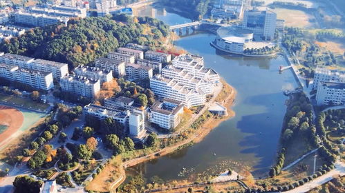 邵陽學(xué)院花巨資引海歸博士 批量培養(yǎng)是否可取