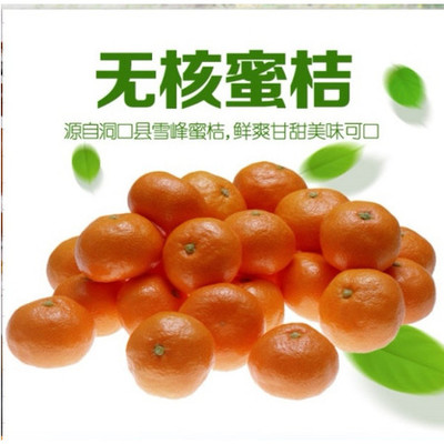 【邵陽紅 洞口】農家土特產品雪峰蜜桔