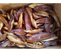 產(chǎn)品庫(kù)