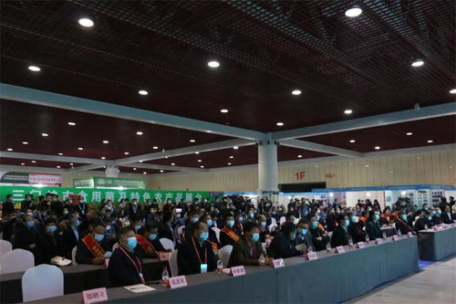 技術賦能，產業升級 2020中國三門峽食用菌新產品新技術博覽會暨第三屆全國香菇產業創新發展大會紀實